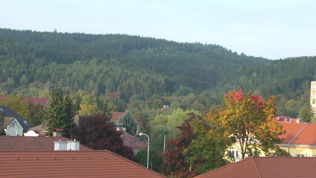 Apartments Meixner Mariánské Lázně المظهر الخارجي الصورة