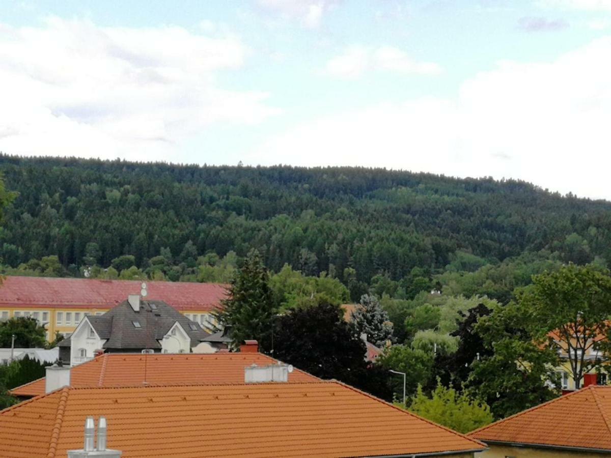 Apartments Meixner Mariánské Lázně المظهر الخارجي الصورة